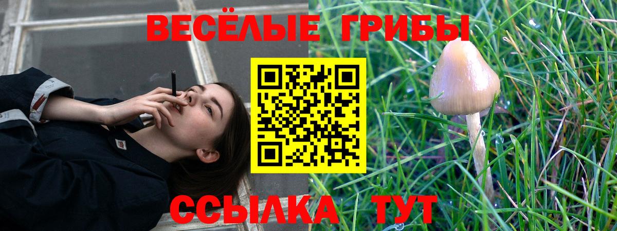 закладки  Вход с VPN  Еманжелинск  Галлюциногенные грибы прущие грибы  Галлюциногенные грибы Psilocybine cubensis 